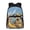 Beach Turtle, variant on Beach Turtle 17 Inch Bookbag with Lunch Box for 5th Grade Boys Lightweight Boys Large Backpack with Adjustable Shoulder Straps and Side Pockets for 6-12 Years Old Boy