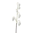 thumbnail image 2 of Qonioi Simulated Lantern Berries Floral Stems, 27.5 Inch Realistic Plastic Fruit Clusters for Home Decor, Versatile Fake Fruit Branches for Wedding Backdrops Table Settings Photography Props, 2 of 6