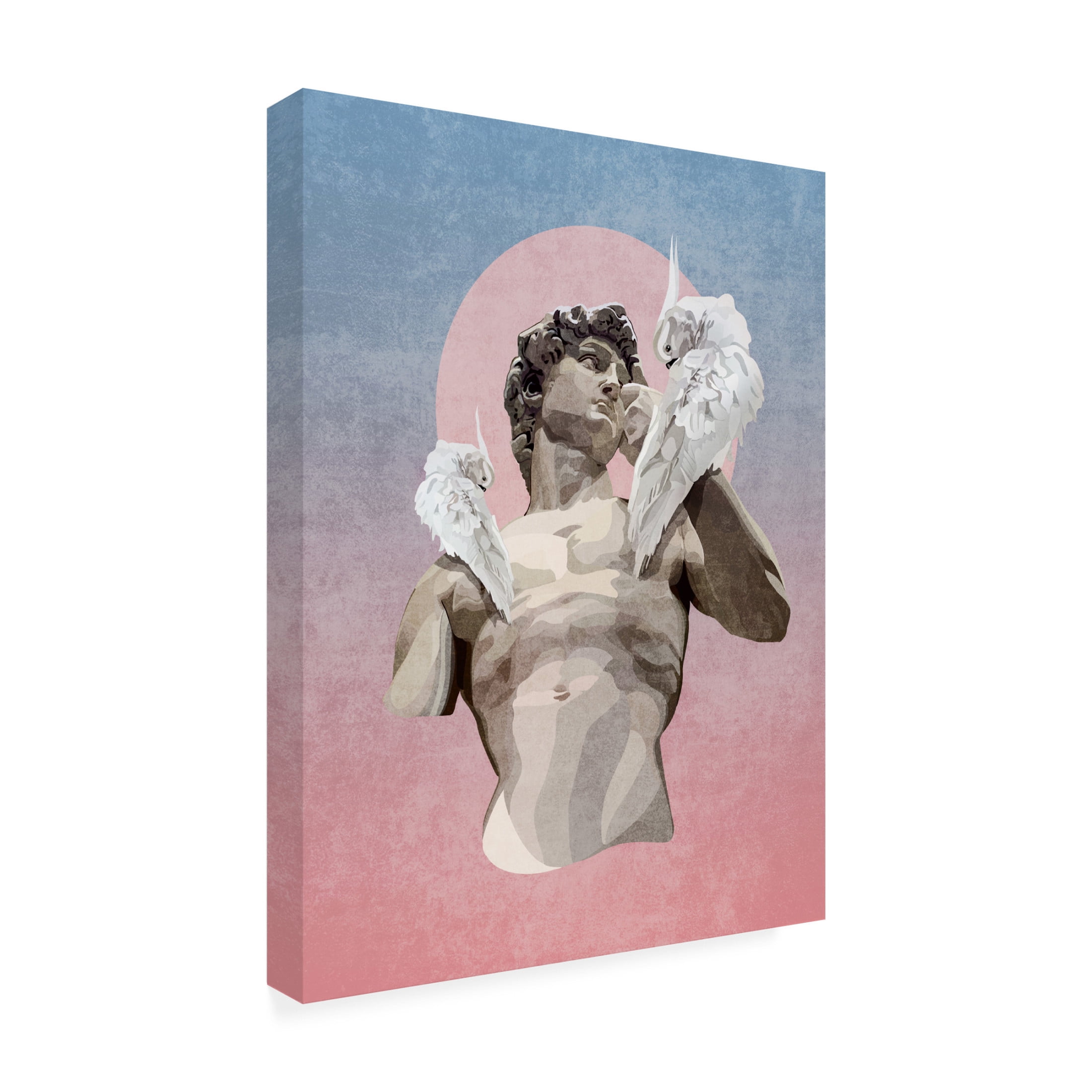 Trademark Fine Art Emel Tunaboylu Davut Papagan Canvas Wall Art