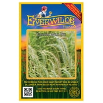 Everwilde Farms - 500 Canada Wild Rye Native Grass Seeds - Gold Vault Jumbo Bulk Seed Packet