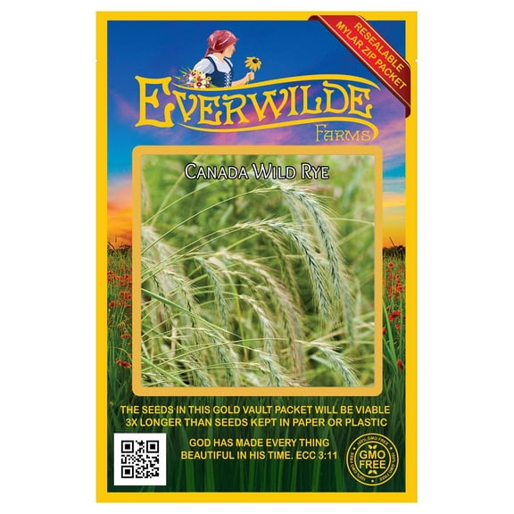 Everwilde Farms - 500 Canada Wild Rye Native Grass Seeds - Gold Vault Jumbo Bulk Seed Packet