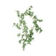 thumbnail image 2 of Enredadera Artificial Verde Colgante, Planta Decorativa De Ratn Para Interiores, Flores Artificiales Para Sala De Estar, Enredaderas Para Pared, Decoracin Moderna Para El Hogar, Para, Ukhbmc, 2 of 8