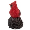 thumbnail image 4 of Northlight 5.5" Oiseau Cardinal Rouge Assis sur une Figurine de Noël de Pomme de Pin, 4 of 5