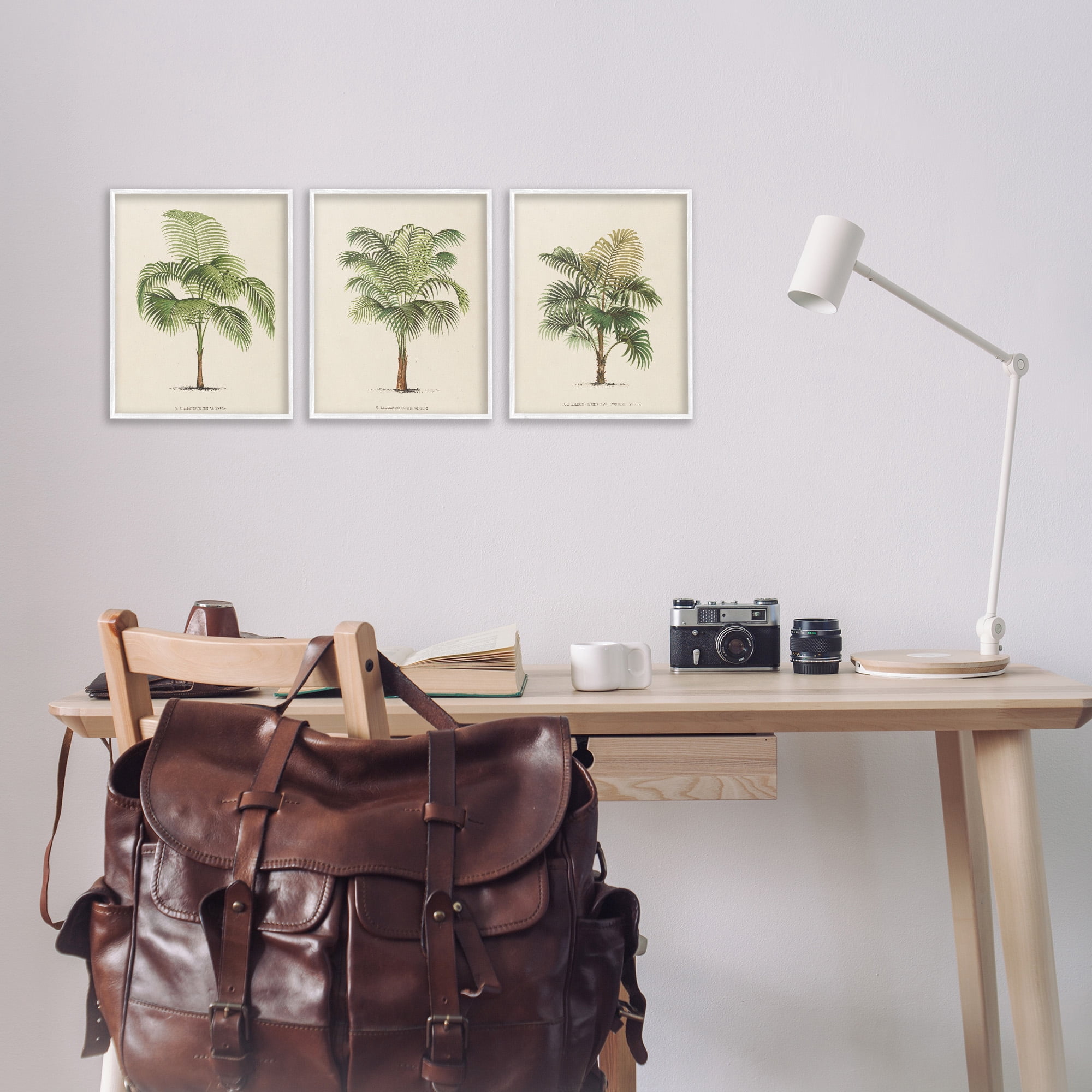 Stupell Industries Les Palmiers Botanical Trio Botanical & Floral Painting White Framed Art Print Wall Art, 11 x 14, Set of 3