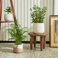 thumbnail image 2 of Vitruvian Indoor Ceramic Pot - Small Ceramic Planter, Handmade Ceramic Pot, Balcony Planter, Modern Ceramic Pot, Cactus Plant Pot,, 2 of 5