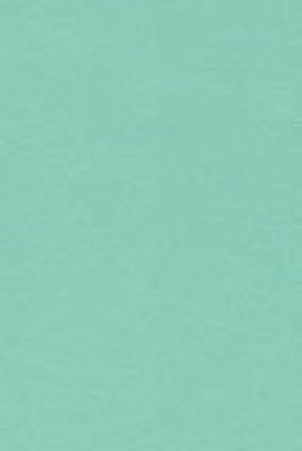 Emerald Green - Color Card Stock, 20lb 50 Sheets (11 x 17)