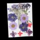 thumbnail image 4 of 2 Bolsas de Flores Secas Reales Naturales, Hojas Prensadas, Artesanías Florales para Bricolaje, Adorno para álbum de Recortes, Fabricación de Tarjetas, 4 of 9