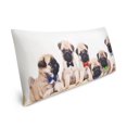 thumbnail image 2 of Mainstays Printed Body Pillow Case, 2 of 4