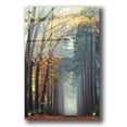 thumbnail image 1 of Epic Art 'To Another World' by Martin Podt, Acrylic Glass Wall Art, 24"x36", 1 of 3