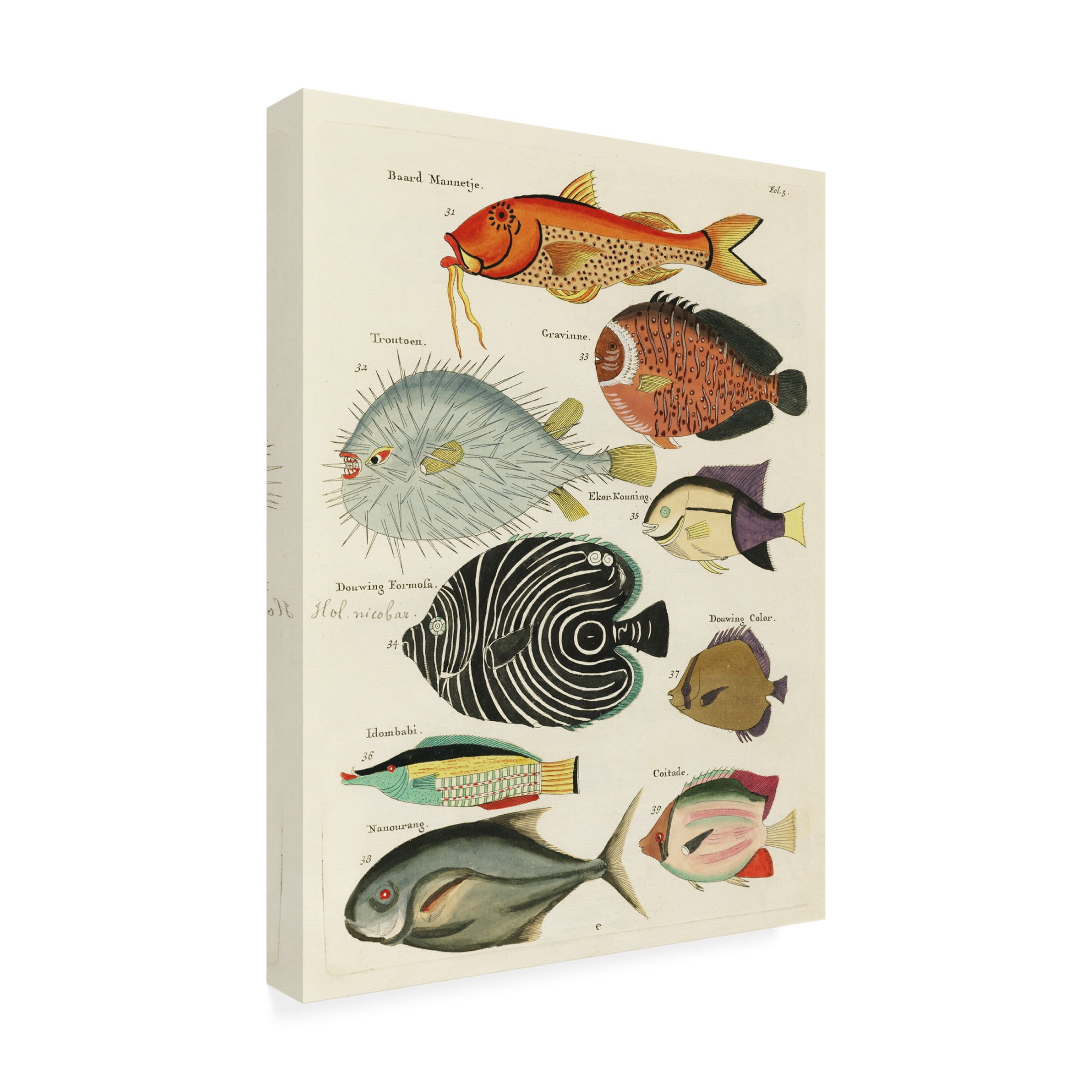 Trademark Fine Art Louis Renard Renard Tropical Fish VI Canvas Wall Art