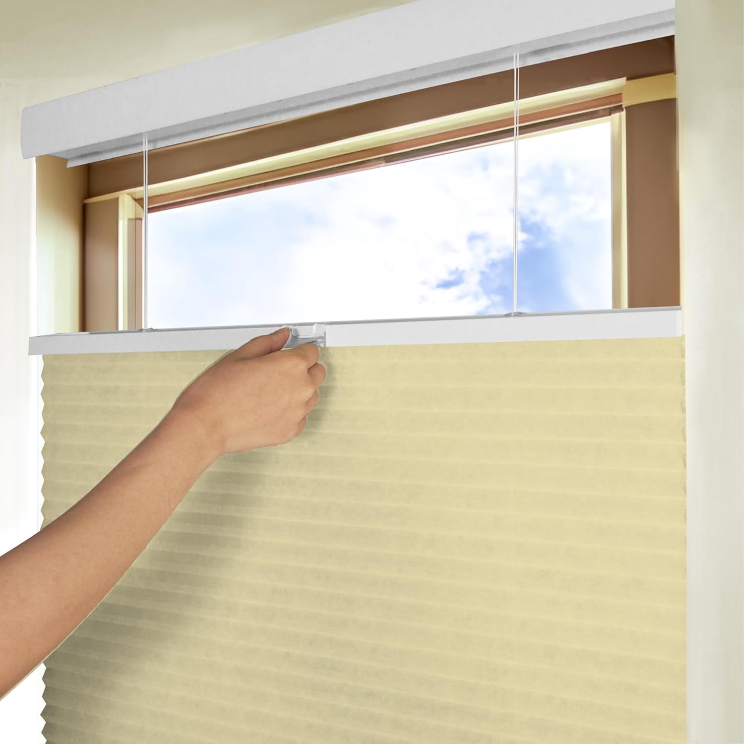 Chicology Cream Light Filtering Cordless Top Down Bottom Up Cellular Shades 48.25 in. W x 72 in. L