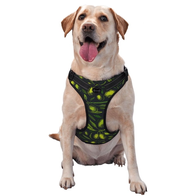 Balery Green Branch Olive Arnés para Perros Grandes Antitirones, Arnés con Correa para Gato, Arnés Tipo Chaleco para Perros Pequeños-Medium