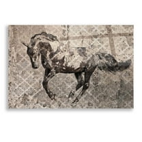 Epic Art 'Paso Fino 1' by Irena Orlov, Acrylic Glass Wall Art, 16"x12"