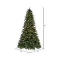 thumbnail image 3 of Vickerman 10' x 72" Douglas Fir Artificial Pre-Lit Christmas Tree, Warm White LED Mini Lights., 3 of 6