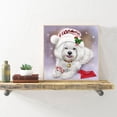 thumbnail image 4 of Cuadros Decorativos Kit de pintura de diamantes 5D, arte de mosaico de diamantes cuadrados completos de animales DIY Sywqhk Nuevos Originales, 4 of 9