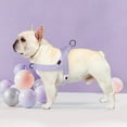 thumbnail image 3 of Didog No Pull Dog Pet Harness No Choke Strong Adjustable Mesh Padded Walking Strap Vest with Handle, 3 of 6