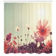 thumbnail image 3 of Ambesonne Floral Shower Curtain, Vintage Cosmos Plant Sky, 69"Wx70"L, Sky Blue and Dark Coral, 3 of 3