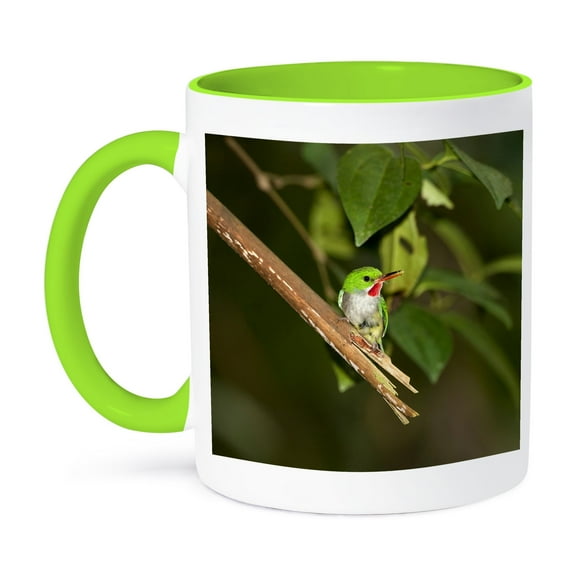 3dRose, Puerto Rican Tody, Bird, El Yunque NF, Puerto Rico-CA27 MPR0024 - Maresa Pryor, 11oz Two-Tone Green Mug