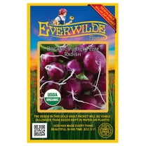 Everwilde Farms - 150 Organic Purple Plum Radish Seeds - Gold Vault Jumbo Bulk Seed Packet