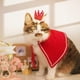 thumbnail image 3 of Mascota gato perro sombrero tocado bufanda chal, 3 of 5