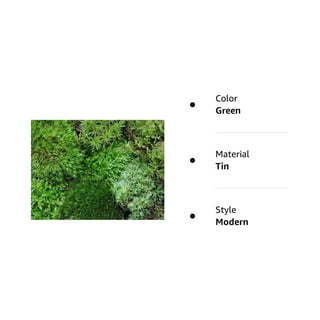 Zoo Med Frog Moss, 80 Cubic-Inches : Terrarium  