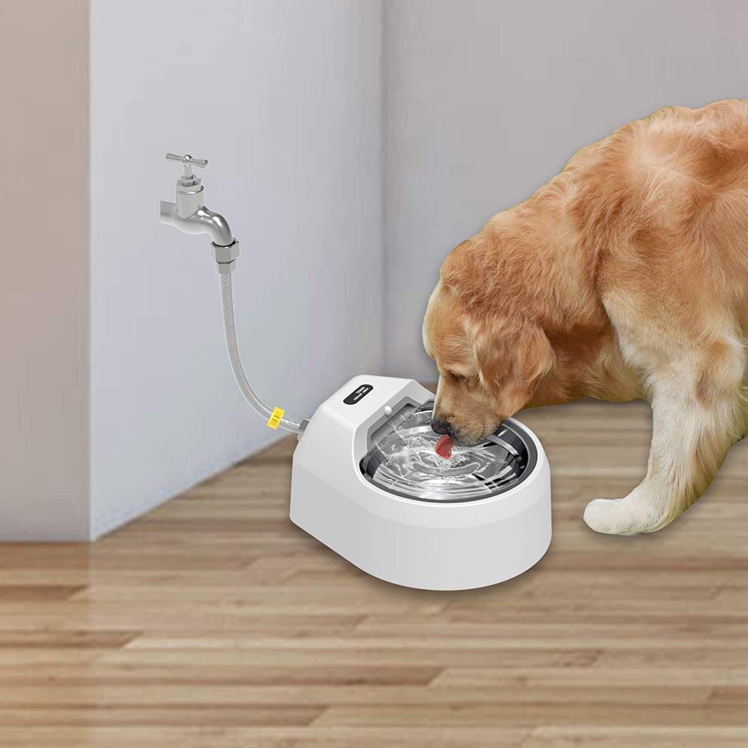 Automatic dog water bowl indoor 2025