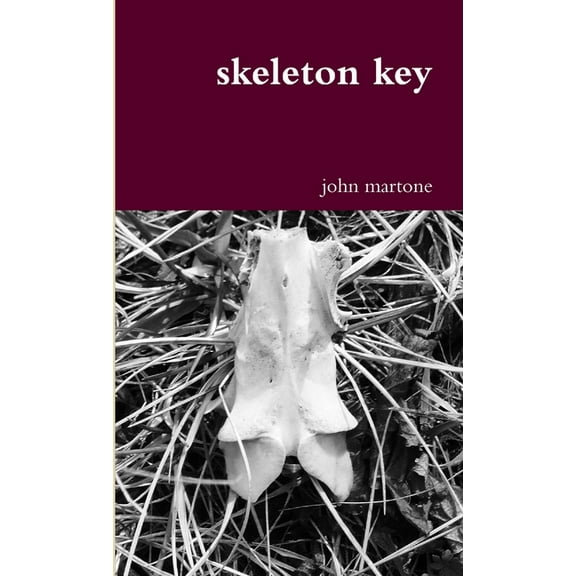 skeleton key (Paperback)
