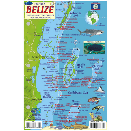 Franko Maps Belize Reef Creatures Fish ID-Card