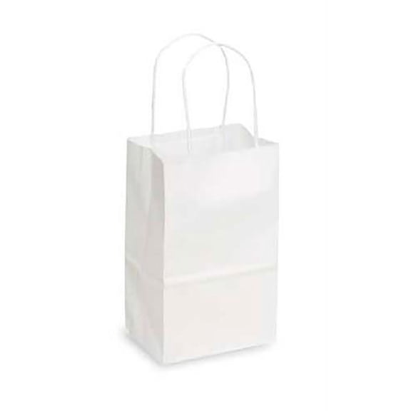 SSWBasics Small White Paper Shopping Bags - pack of 25