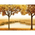 thumbnail image 2 of Seba, John 32x25 White Modern Wood Framed Museum Art Print Titled - Golden Morning II, 2 of 4
