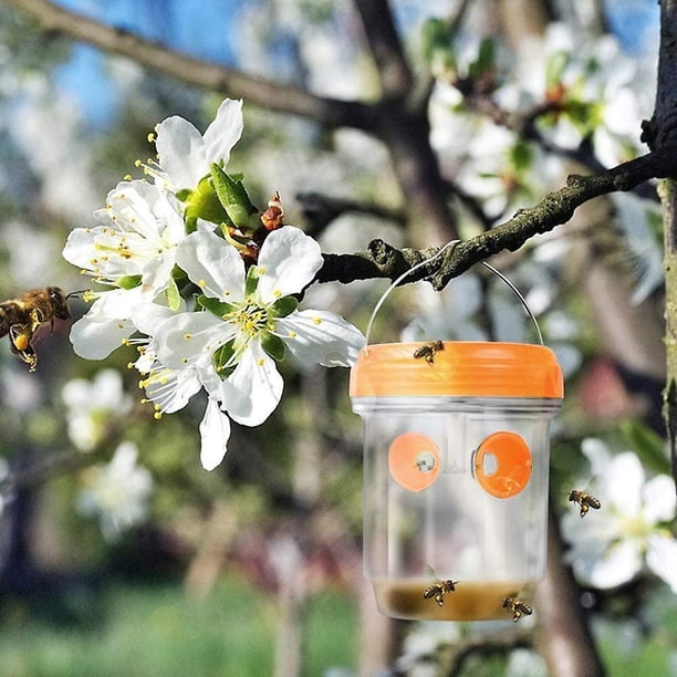 Exterminador de avispas para exteriores, paquete de 2 exterminadores de avispas R&r con luz LED, atrayente para avispas, insectos y abejas de madera, naranja, 11 Feliz Sencillez