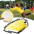 thumbnail image 2 of Agility Ladder With Storage Bag Speed Training Equipment With Storage Bag New L3 Z3Z9, 2 of 8