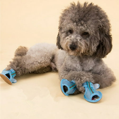 Summer Savings Clearance Fwttom 4 PCS Summer Breathable Dog Shoes  Dog Boots & Paw Protectors Mesh Sandals with Sole Perfect for Hot Pavement & Outdoor Activities  Size 5 (Blue)