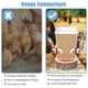 thumbnail image 4 of Alimentador de pollos sin desperdicios, alimentador automático de aves de corral a prueba de lluvia con tapa Kit de alimentación por gravedad 6 puertos -1 cubos de sierra de agujeros, 4 of 5