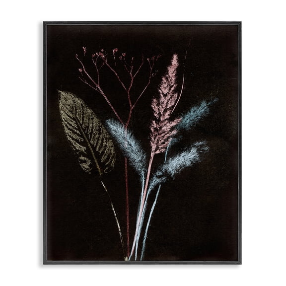 Stupell Industries Eclectic Country Reeds Impressions Black Framed Giclee Art, 11 x 14, by Pernille Folcarelli