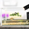 thumbnail image 4 of DEEPCRAFF Apparence Réaliste Modèle de Plante Artificielle Résine Verte pour Amateurs 1 Pcs, 4 of 6