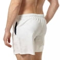 thumbnail image 3 of RIPT Essentials Mens Swim Shorts, 3 of 4