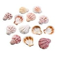 thumbnail image 1 of Diy decorative seashell for decoration 100 seashells, 1 of 3