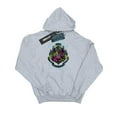 thumbnail image 1 of Harry Potter Mens Neon Hogwarts Crest Hoodie, 1 of 5