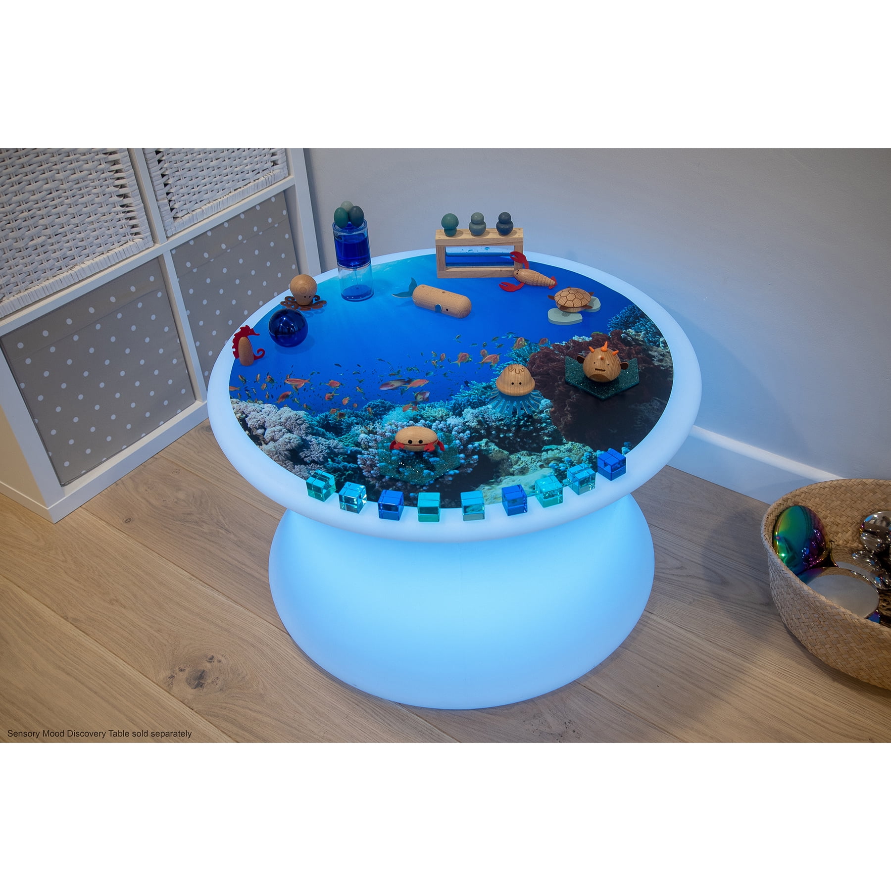 TickiT Under the Sea Discovery Play Mat
