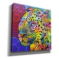 thumbnail image 2 of Epic Graffiti 'Chobe' by Dean Russo, Canvas Wall Art, 18"x18", 2 of 8
