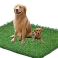 thumbnail image 1 of HLONK 41” X 30” Artificial Grass Patch for Dogs Potty Training  Washable Reusable Turf Grass Pee Pads for Small to Large Dogs, 1 of 7
