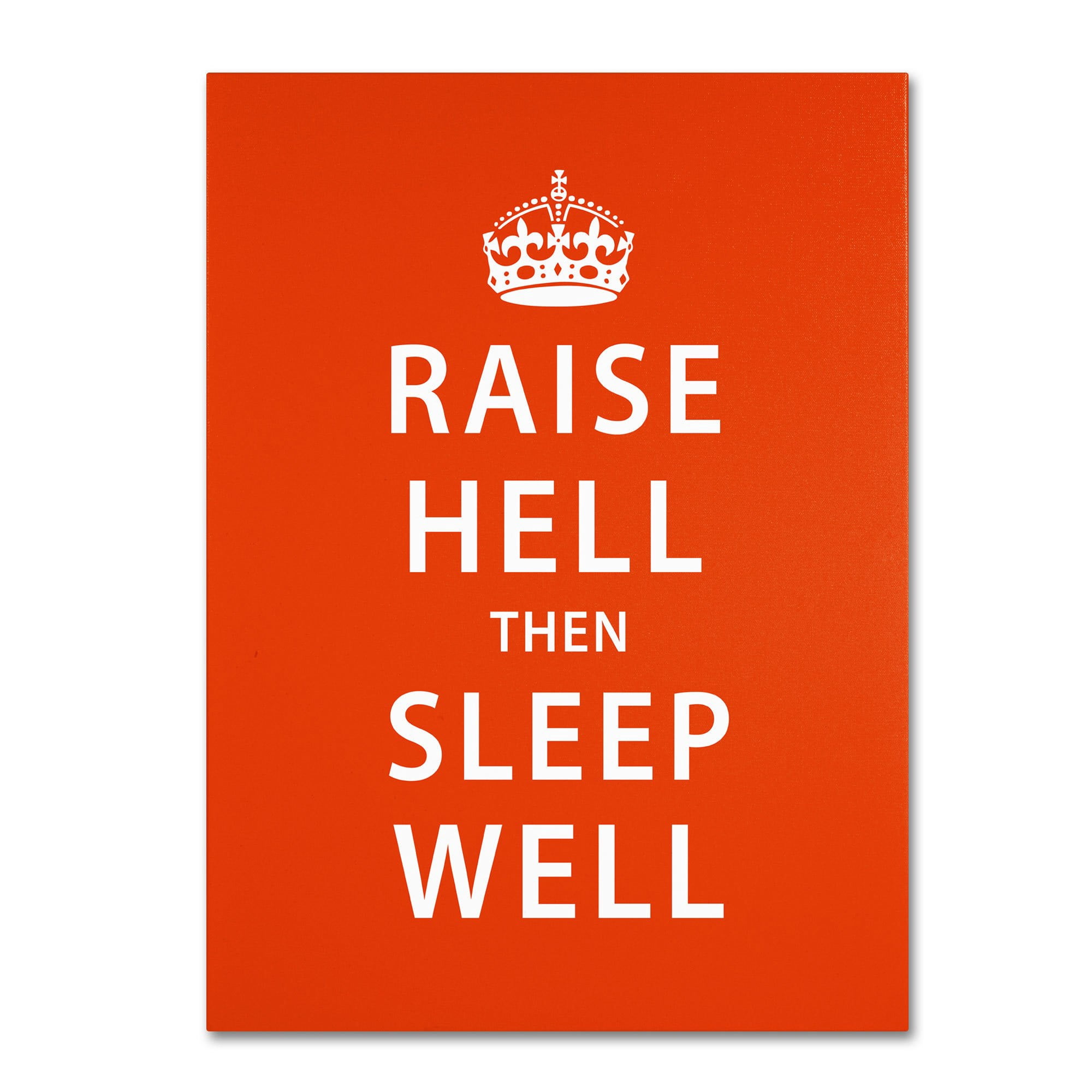 Trademark Fine Art "Raise Hell VI" Canvas Art by Megan Romo