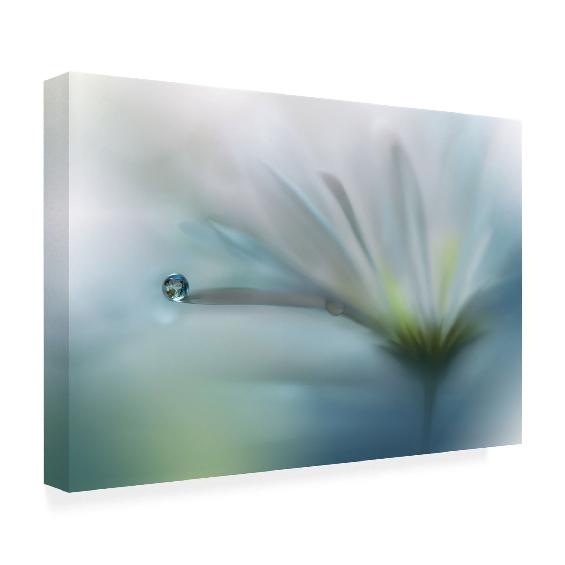 Canvas Wall Art - Juliana Nan 'Fields Of Hope ' Wall Art for Living Room, Bedroom, or Office D?cor by Trademark Fine Art - 19 x 12 Inches