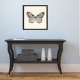 thumbnail image 6 of Amanti Art Butterfly V Crop Framed Canvas Wall Art, 6 of 10