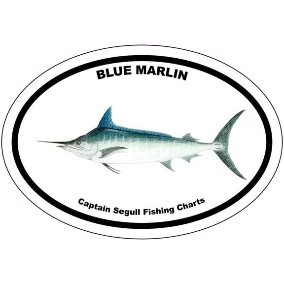 Blue Marlin Bumper Sticker