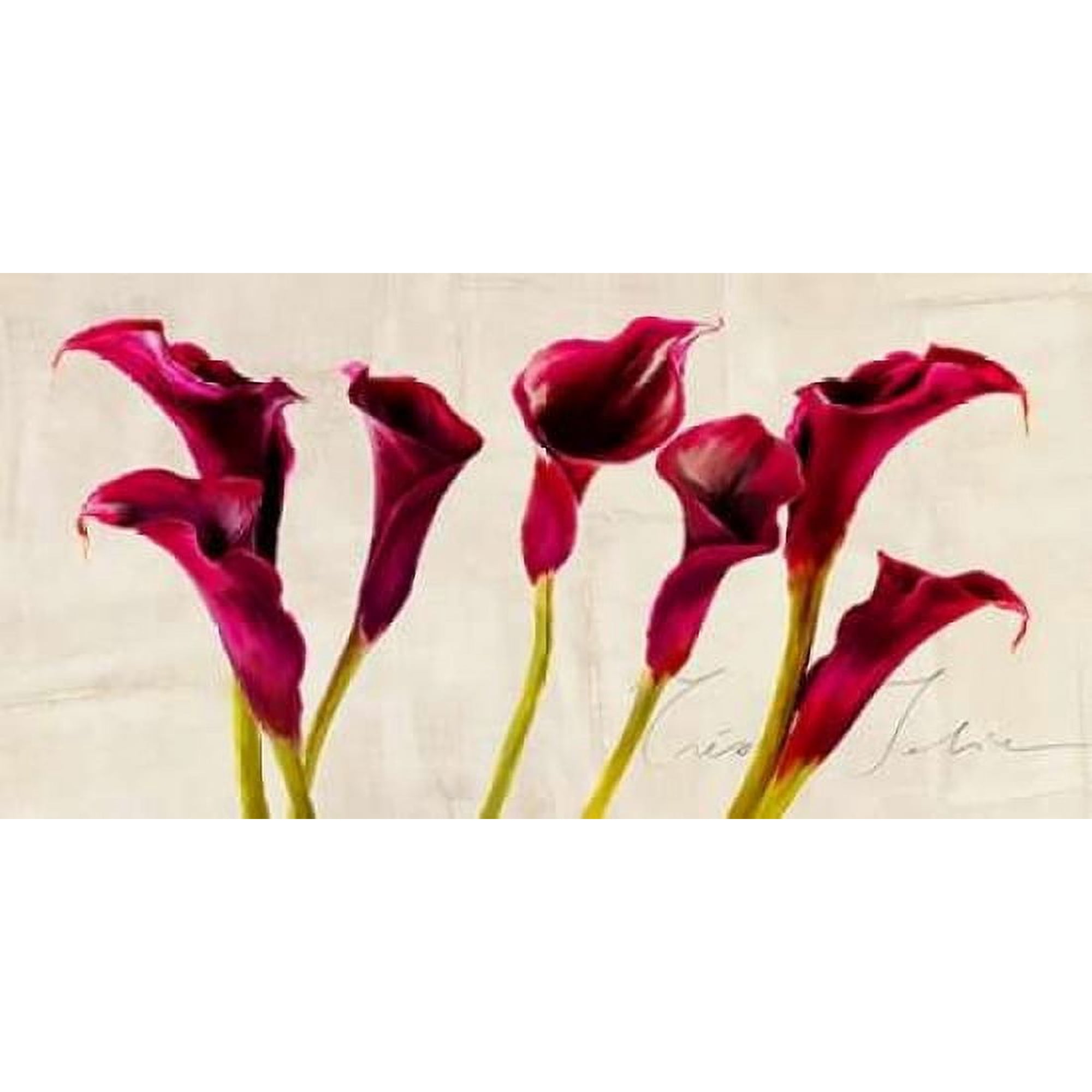Tres Jolie Poster Print by Teo Rizzardi (24 x 48)