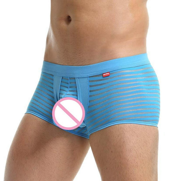Akiihool Underpants Men's Dual Pouch Underwear Micro Modal Trunks Separate  Pouches with Fly (Sky Blue,L)