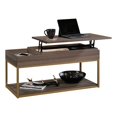 thumbnail image 1 of Sauder International Lux Engineered Wood Lift Top Coffee Table in Diamond Ash, 1 of 11