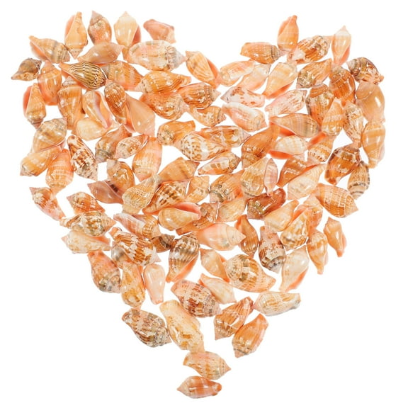 Worgeous 100Pcs Diy Sea Shell Conch for Beach Theme Party Crafts Conch